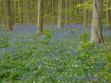 Hyacintenjogging 2016 - 068.jpg